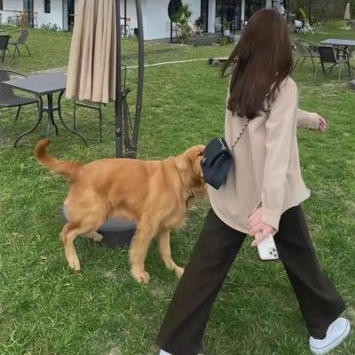 航运新闻